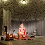Narcia シダ
